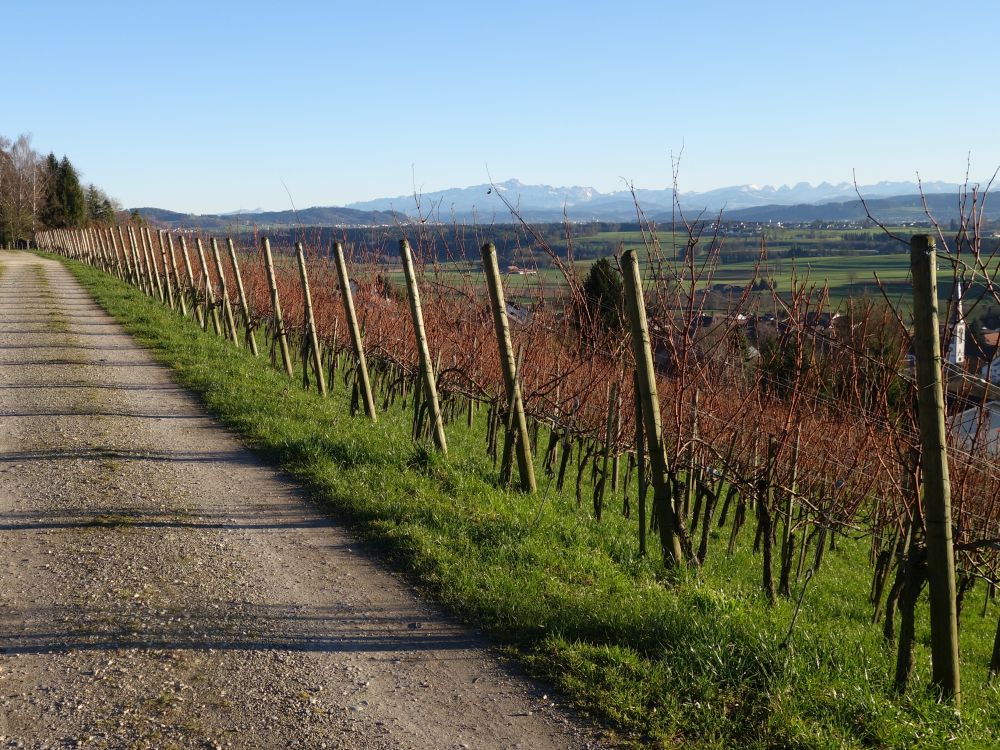 Sntisblick vom Weinberg ber Stettfurt