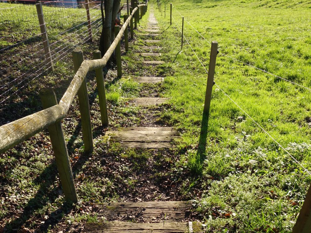 Treppe am Hummebrg