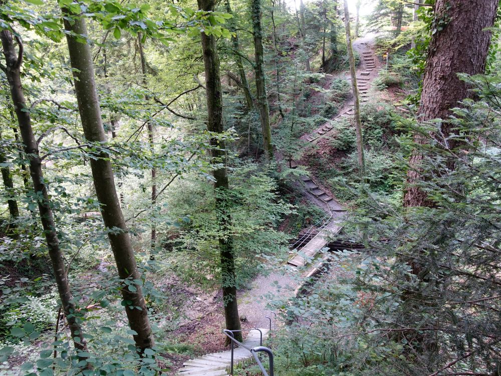 Treppen im Chlosterwald