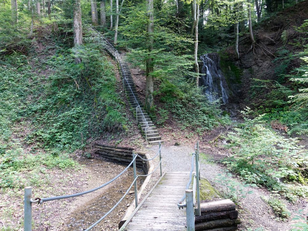 Treppen im Chlosterwald
