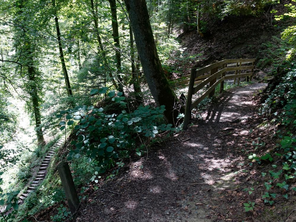 Treppen im Chlosterwald