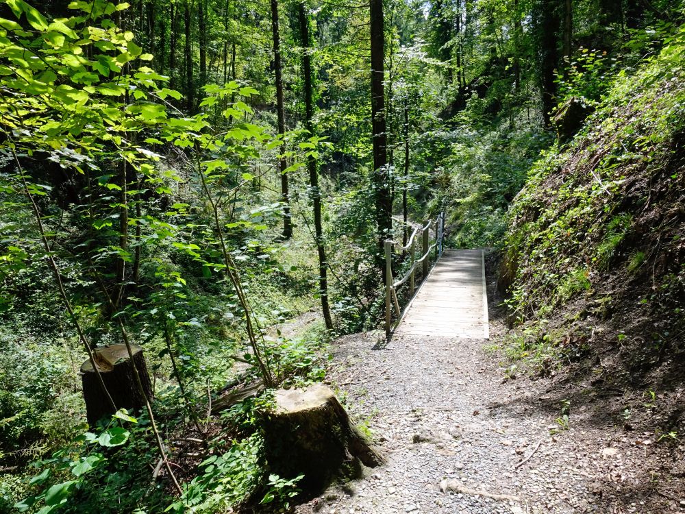 Steg im Chlosterwald