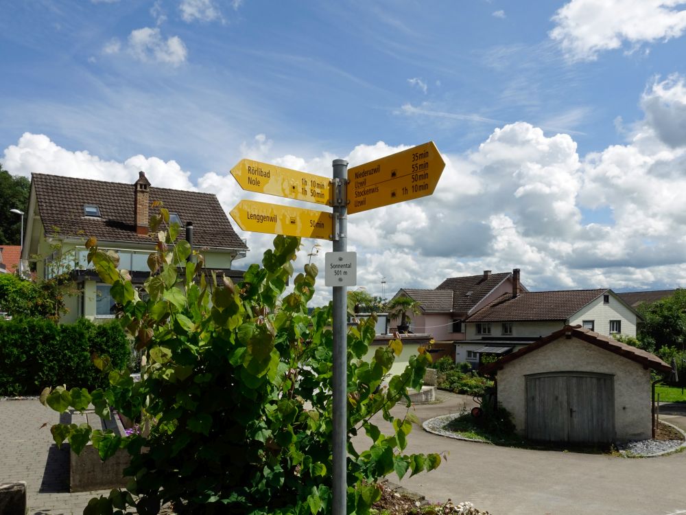 Wanderwegweiser in Sonnental