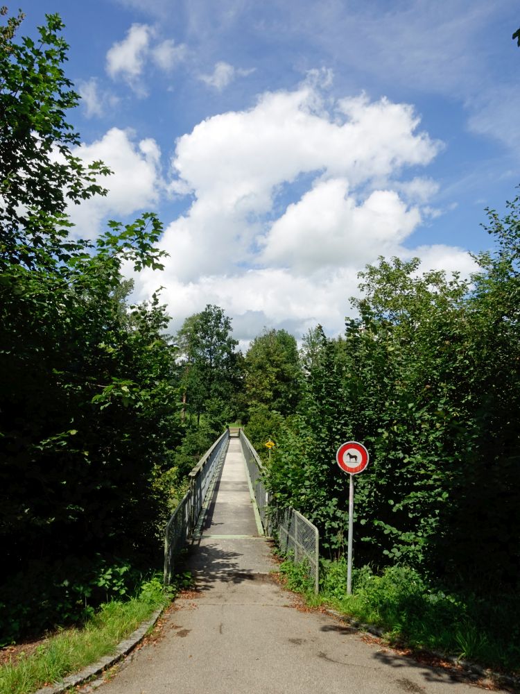 Steg über die Thur bei Sonnental