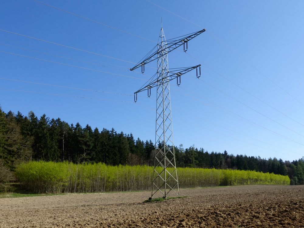 Baumschule unter Strom