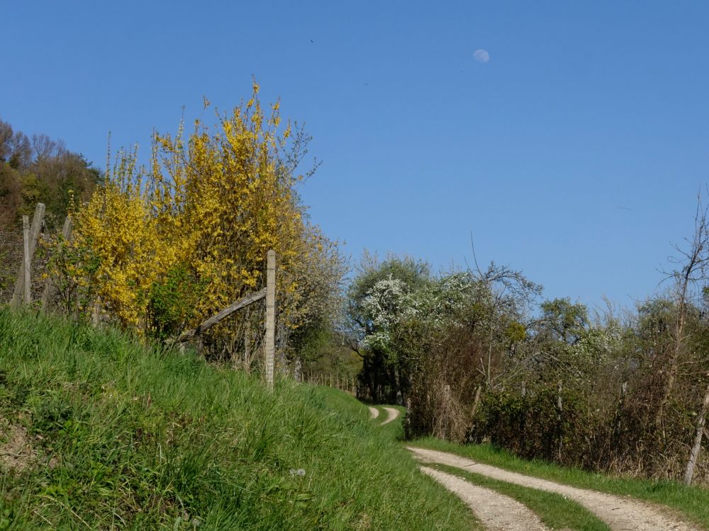 Weg ins Röhrental