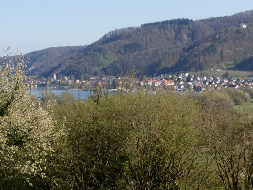 Überlinger See und Bodman