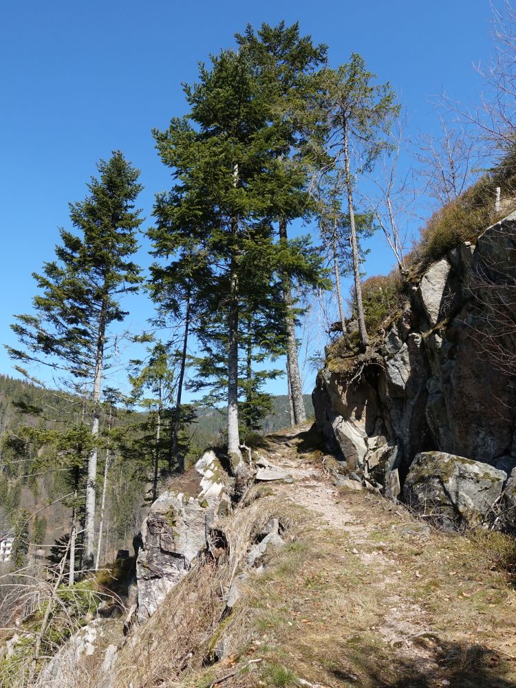 Weißenbergweg