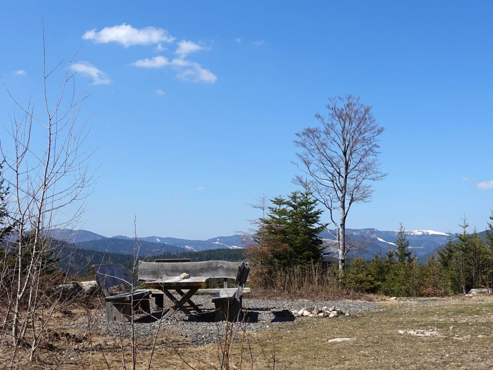 Blick Richtung Feldberg