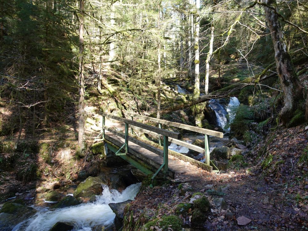 Wildbergschlucht