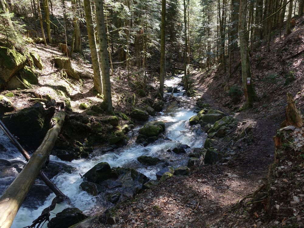 Wildbergschlucht