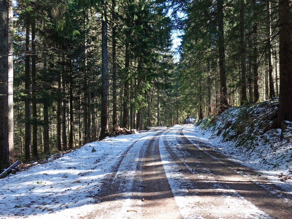 verschneiter Waldweg