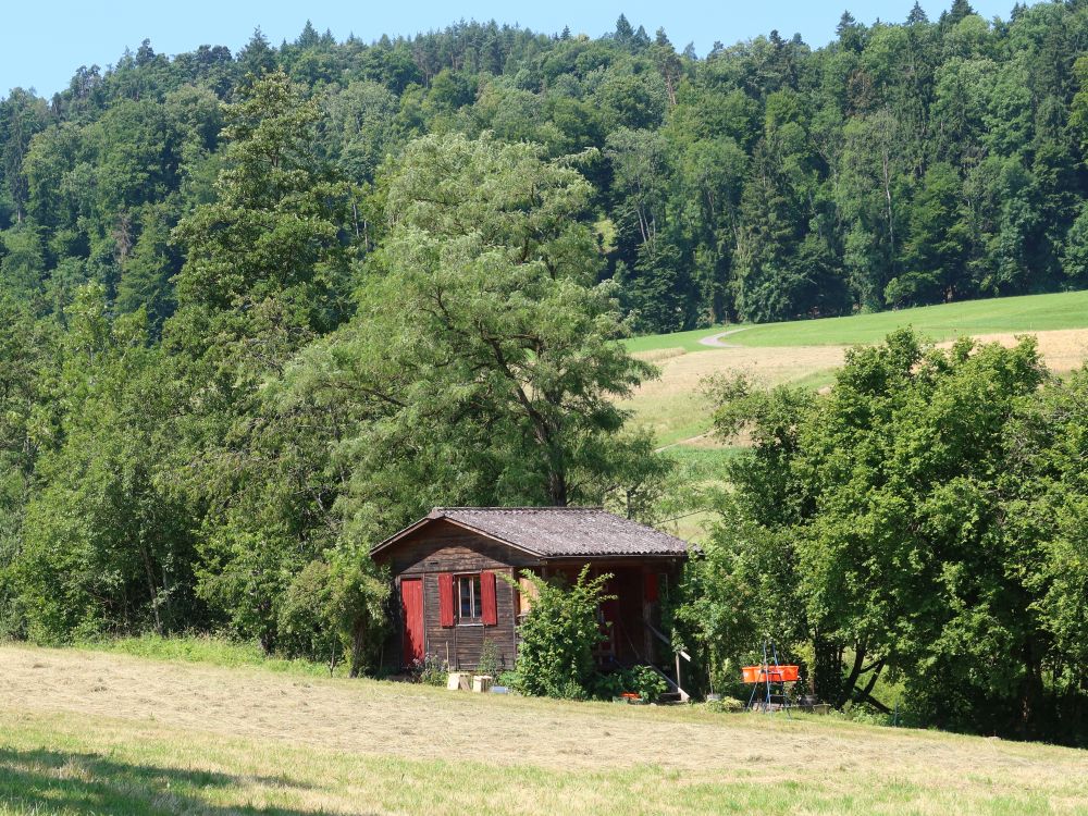 Tinyhäuschen