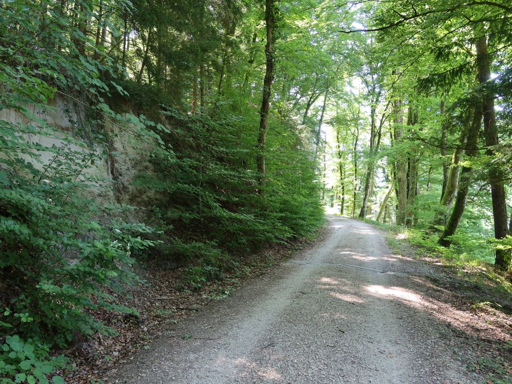Waldweg