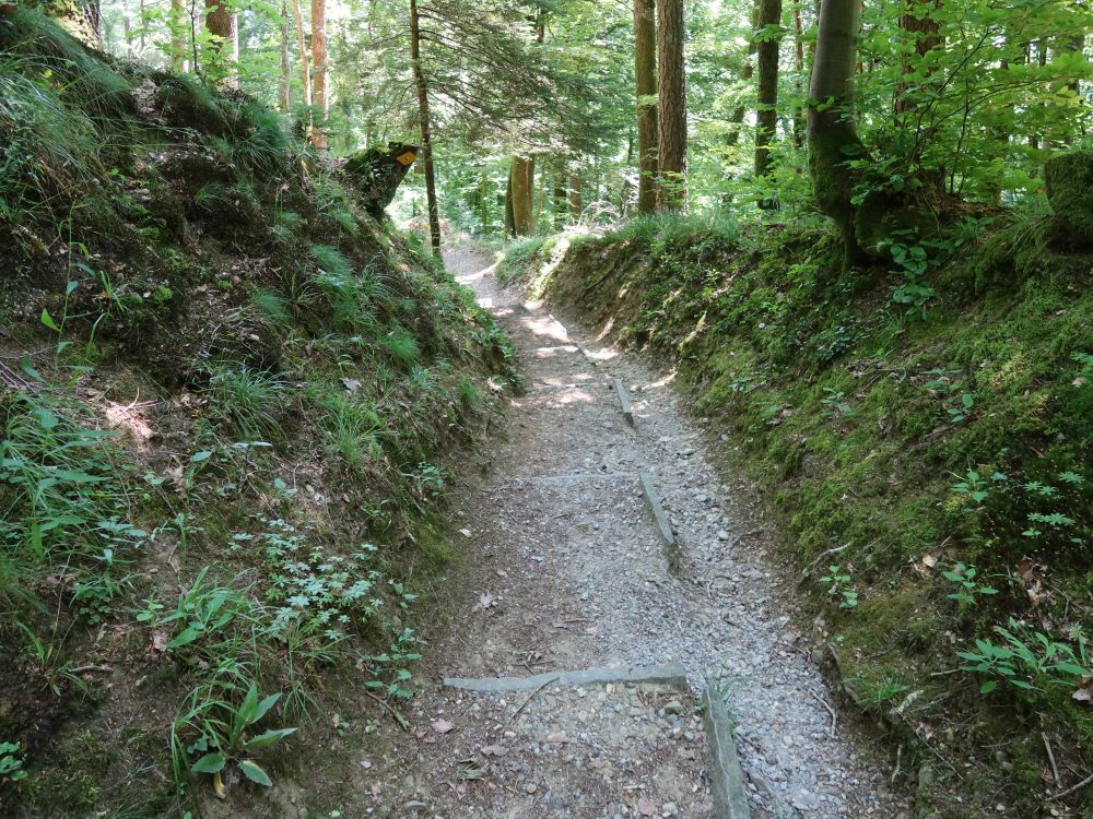 Waldweg