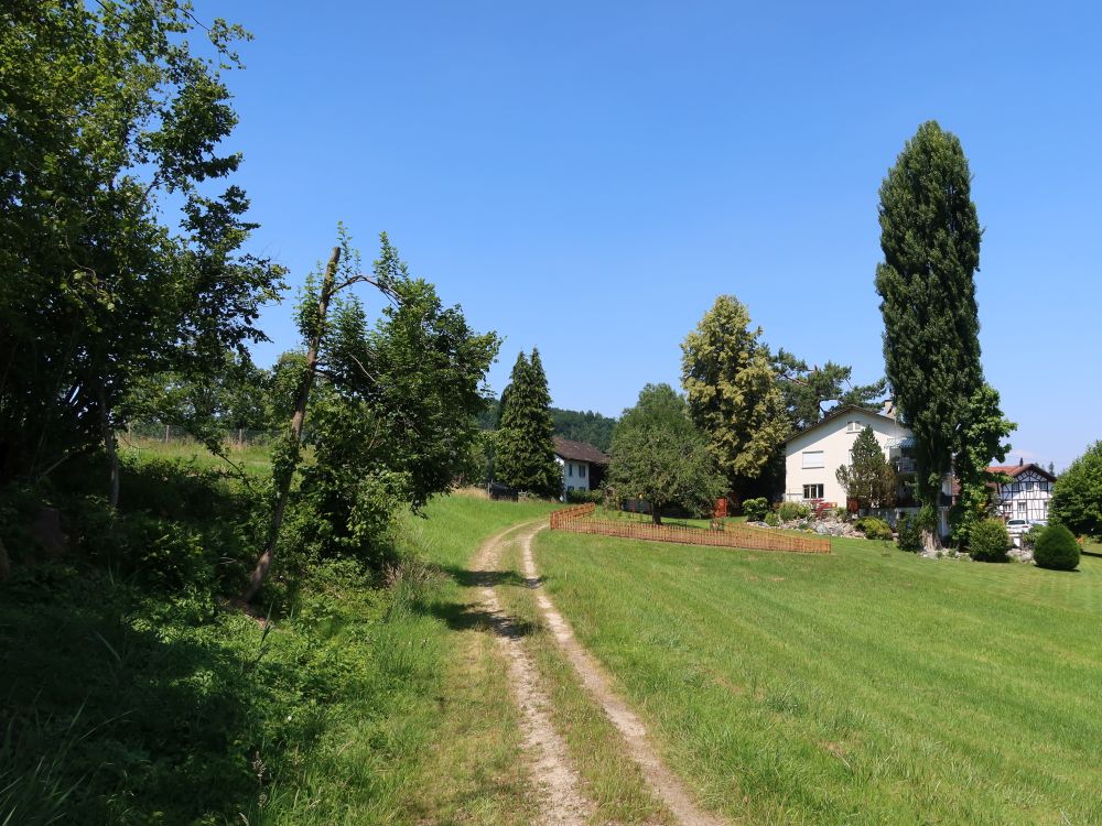 Weg am Ortsrand