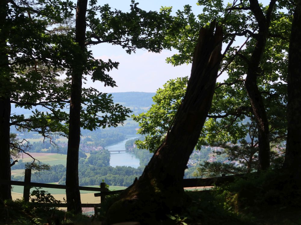 Rhein zwischen den Bäumen