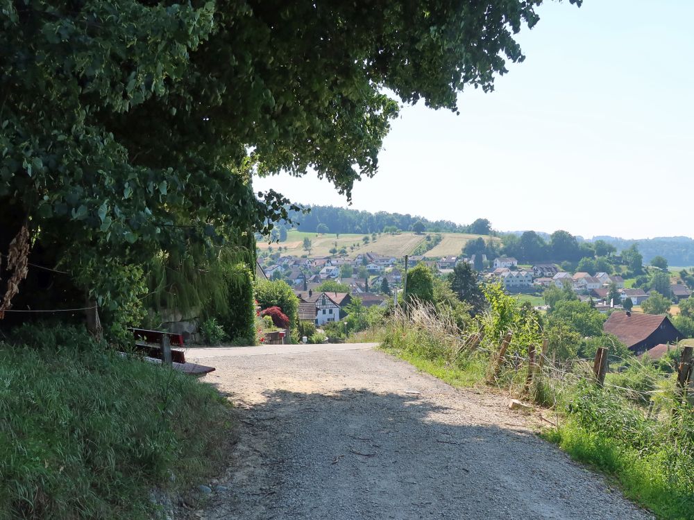 Blick auf Weiach