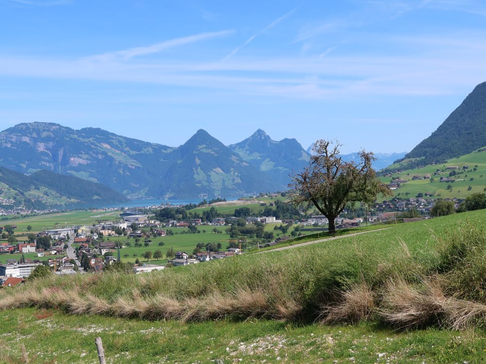 Rigi-Hochflue und Mythen