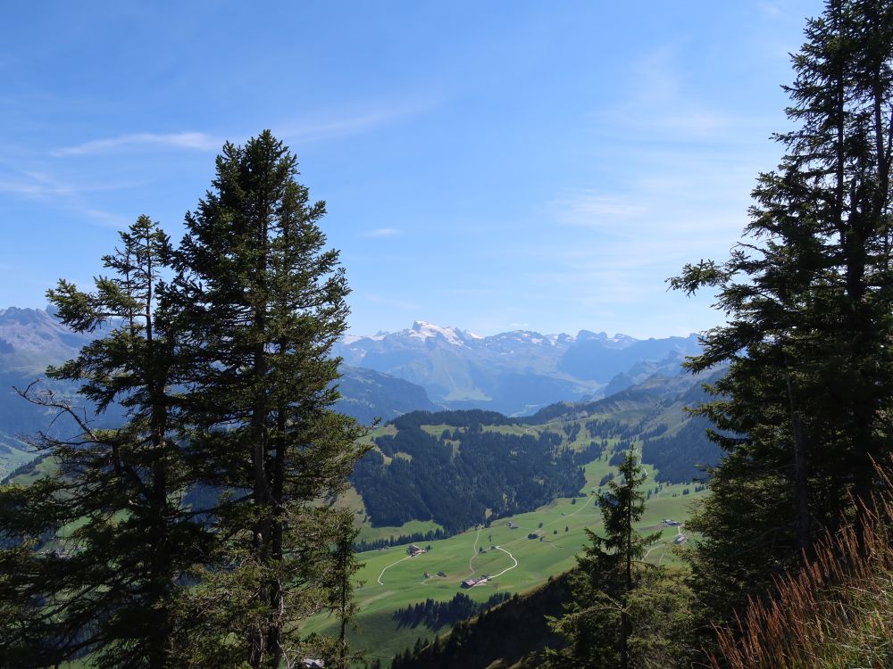 Blick Richtung Titlis