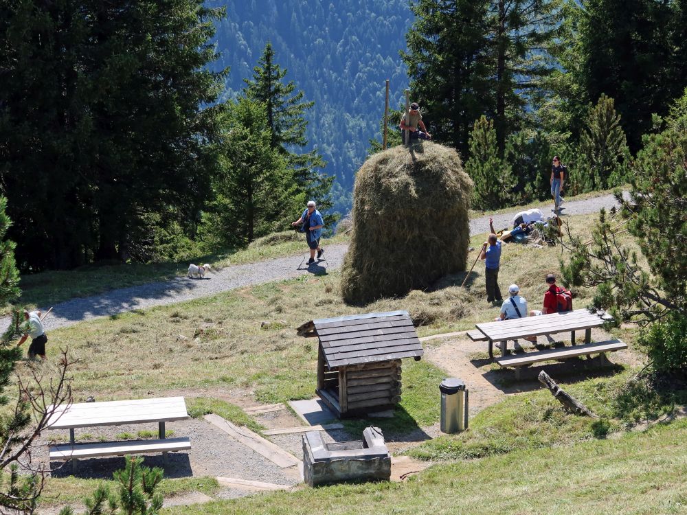 Grillplatz und Heuernte
