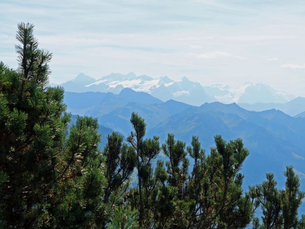 Berner Alpen am Horizont