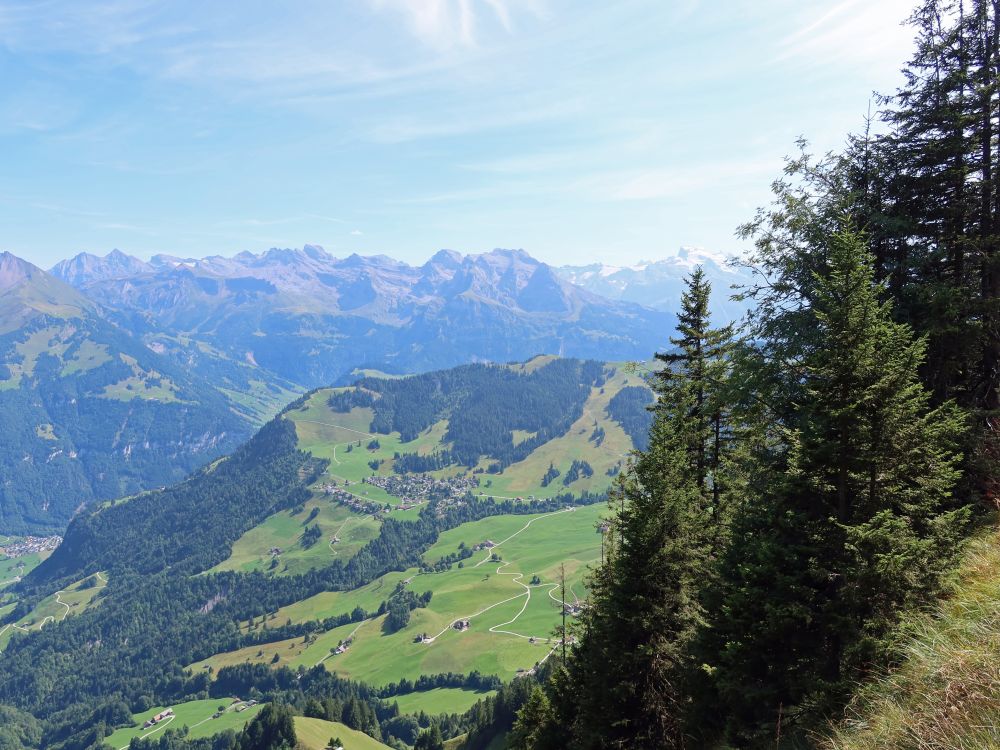 Blick auf Wirzweli