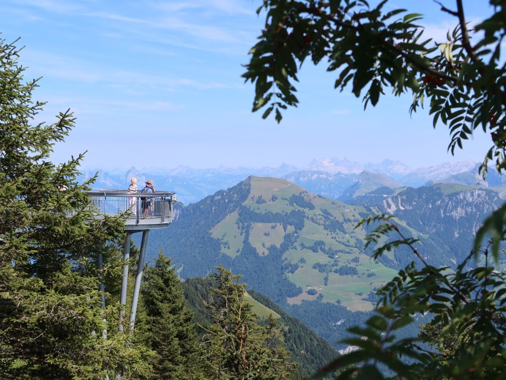 Plattform-Terrasse und Buochserhorn