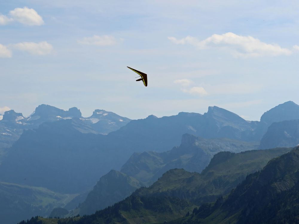 Drachenflieger