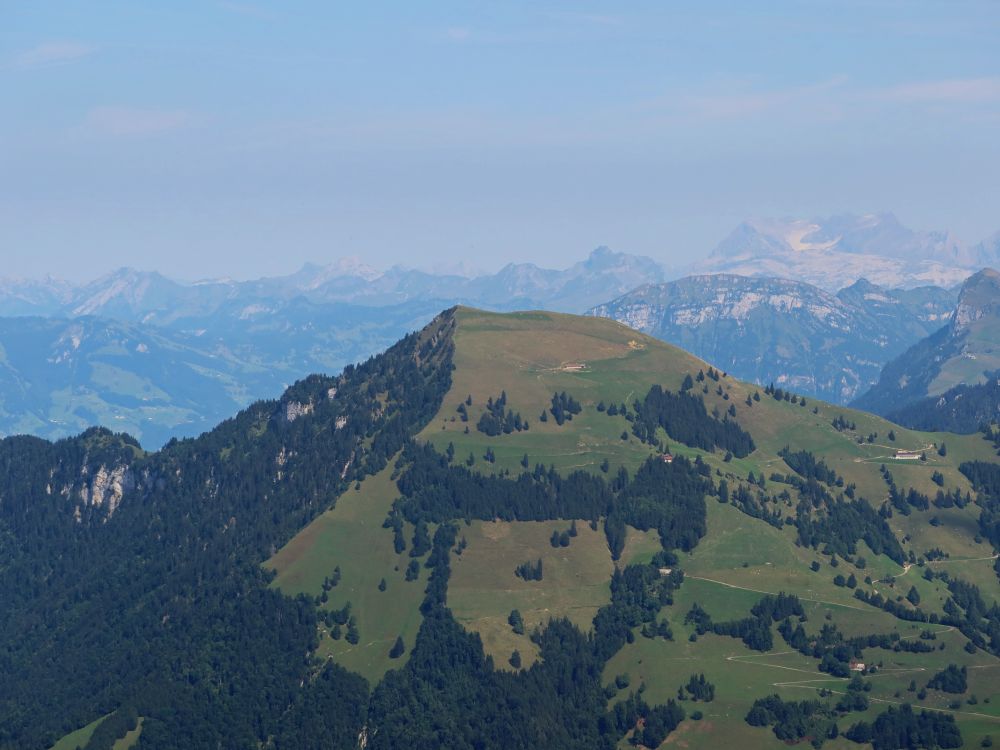 Buochserhorn