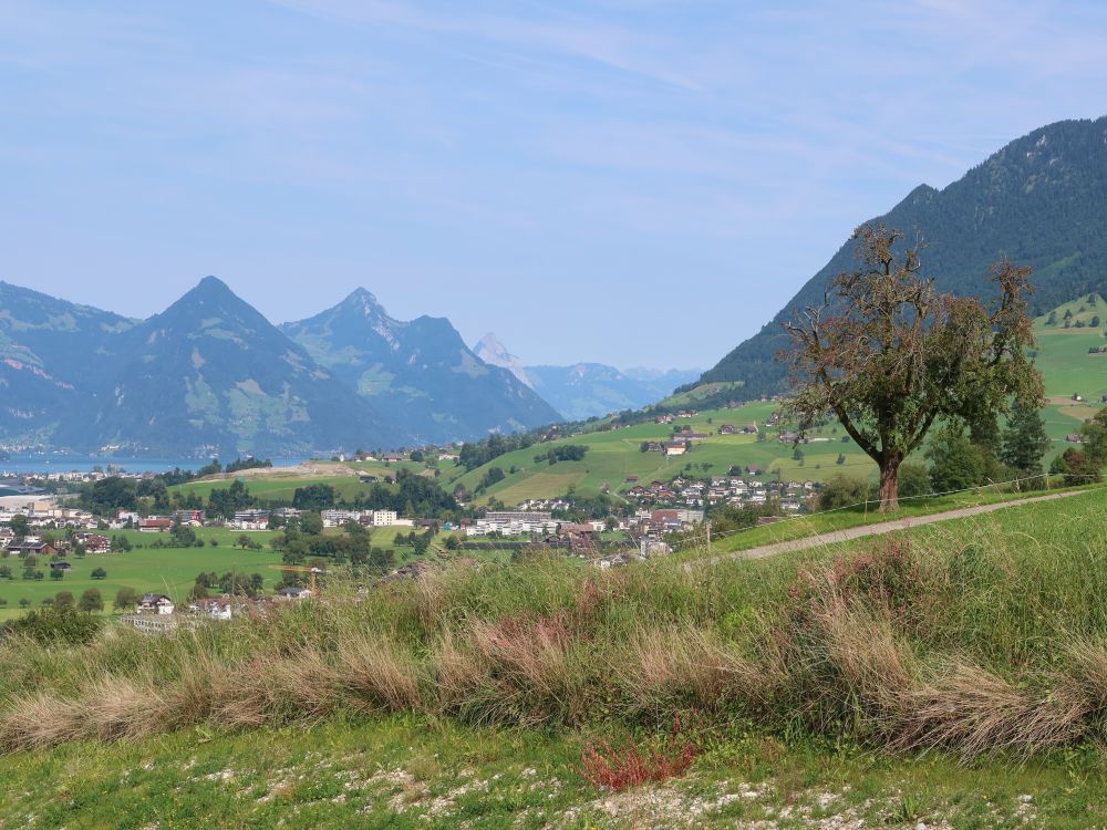 Rigi-Hochflue und Mythen