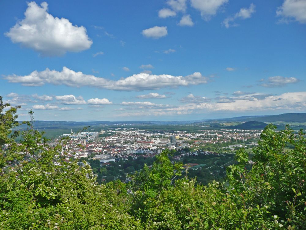 Blick auf Singen