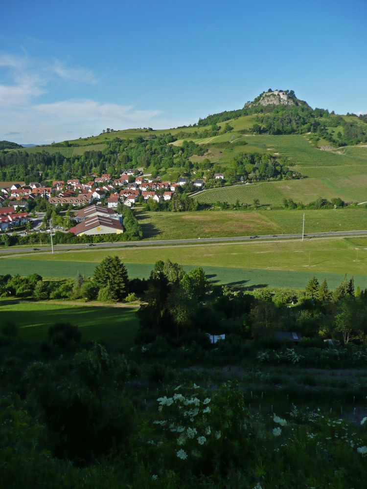 Hohentwiel über Twielfeld