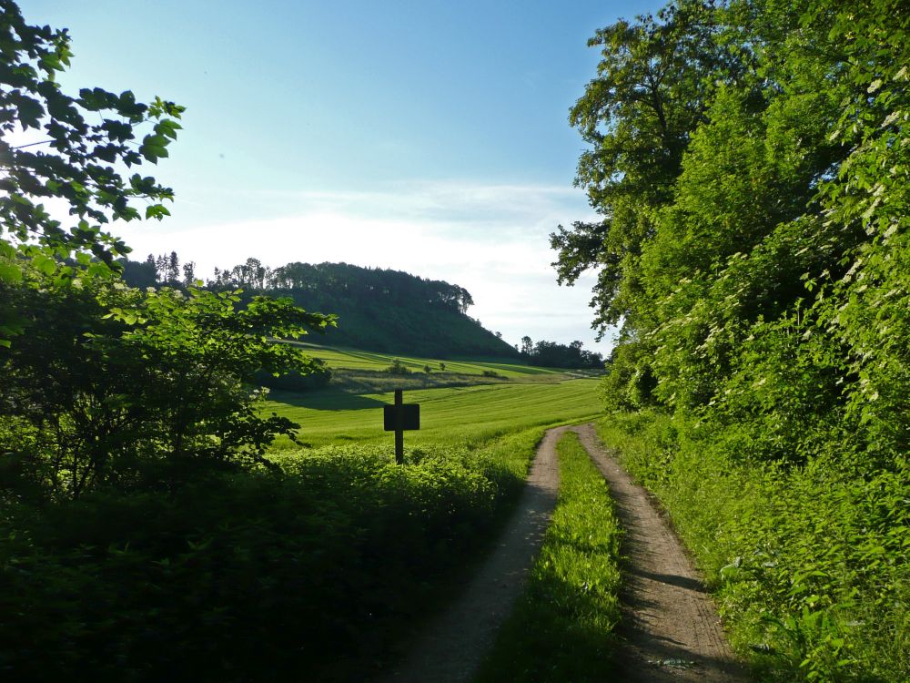 Plören
