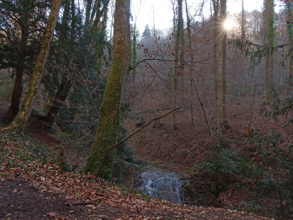 Wasserfall mit Gegenlicht