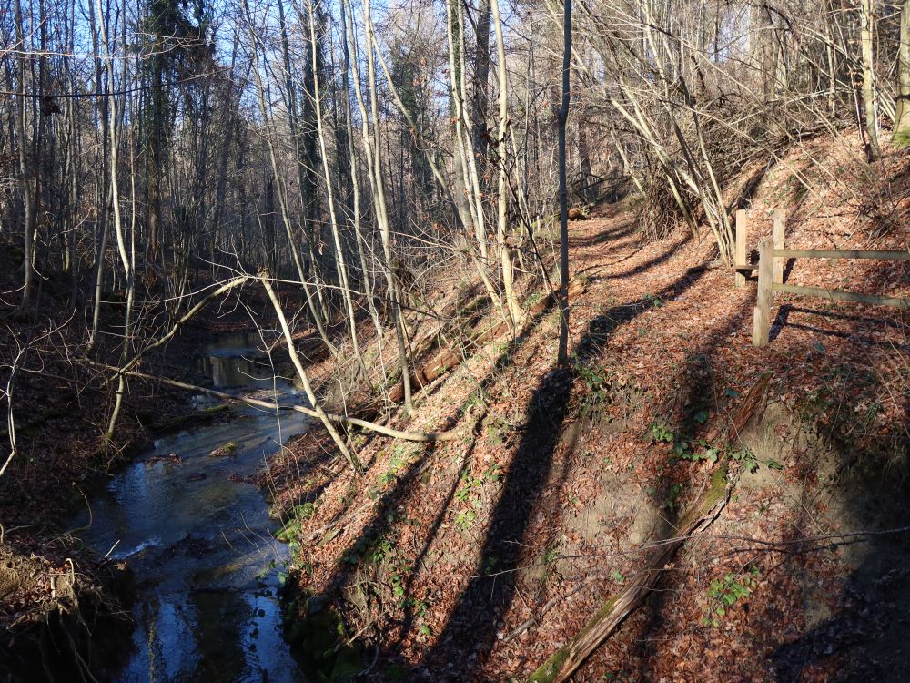 Pfad überm Chesselbach