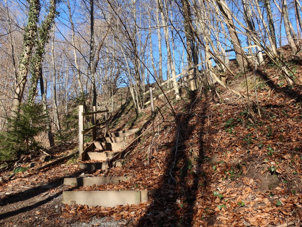 Treppe im Chesseltobel