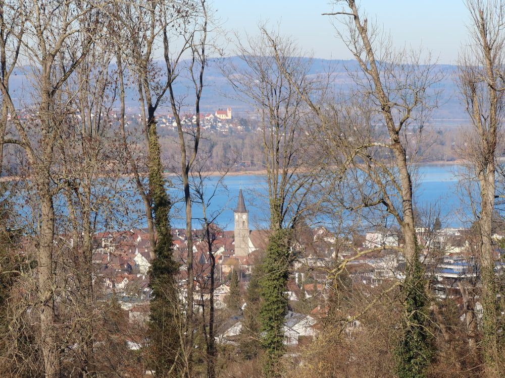 Kirchen von Horn und Steckborn