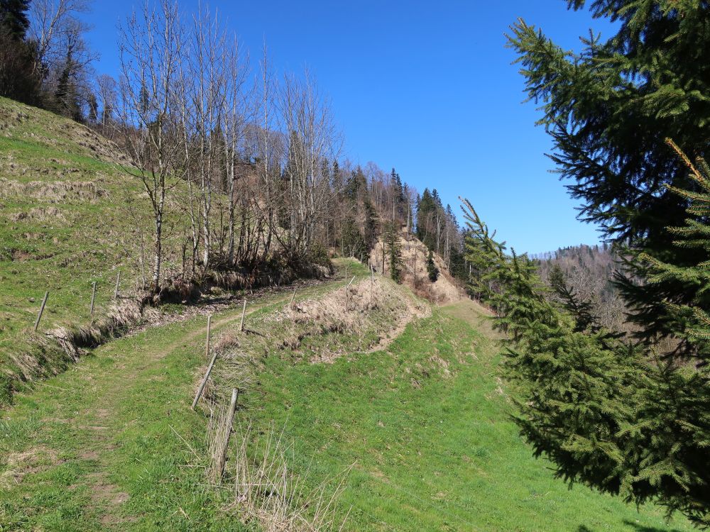 Stegweidstrasse