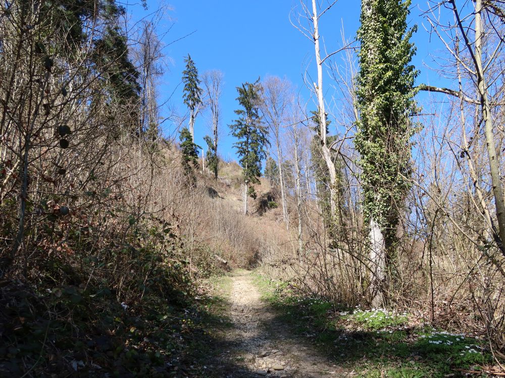 Stegweidstrasse