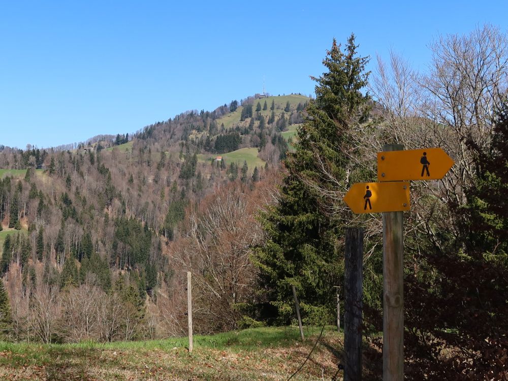 Wanderwegmarkierung und Hörnli