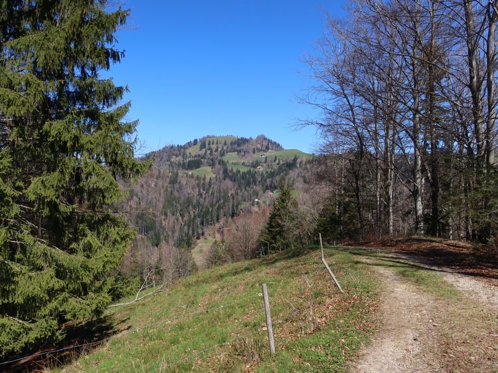 Blick Richtung Hörnli