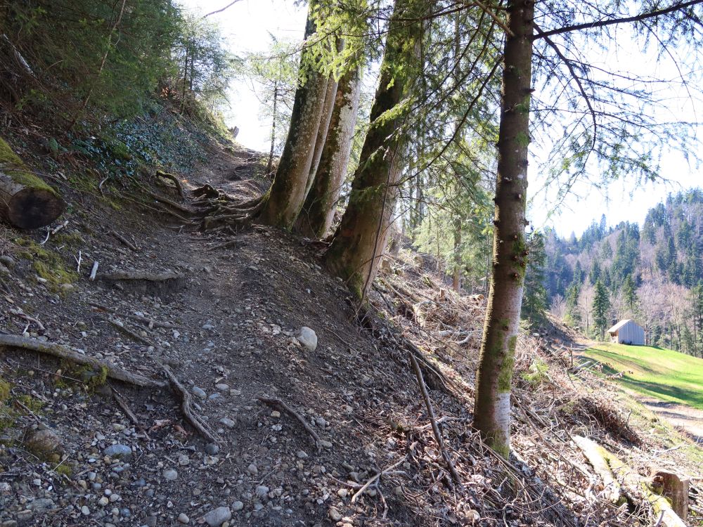 Pfad unterm Schlosschopf