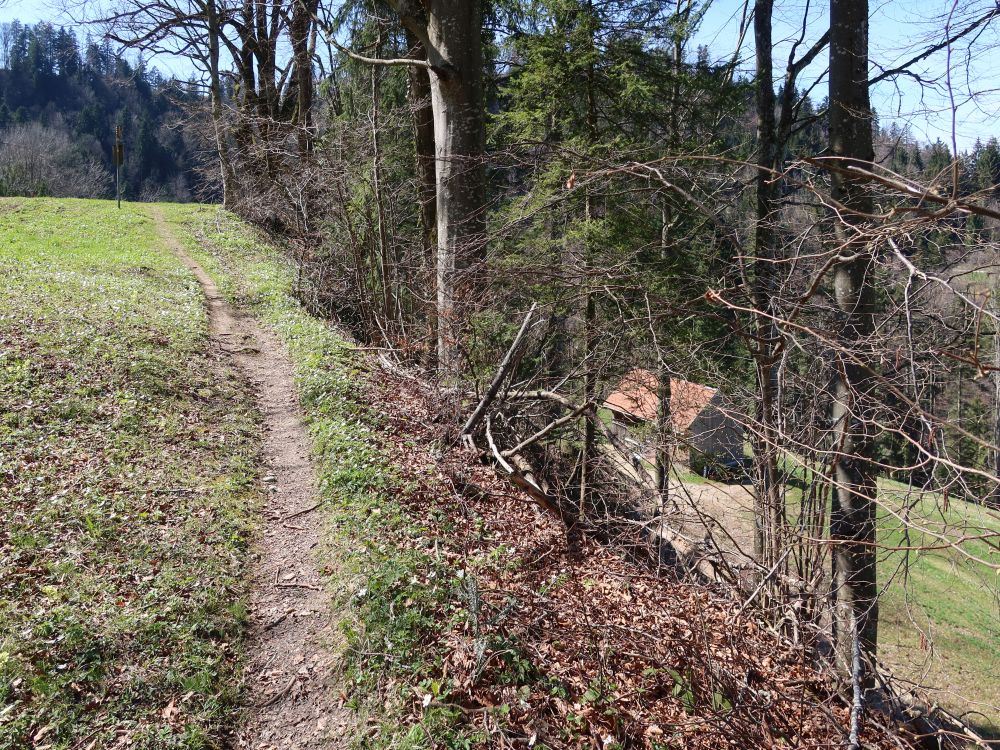 Pfad unterm Schlosschopf