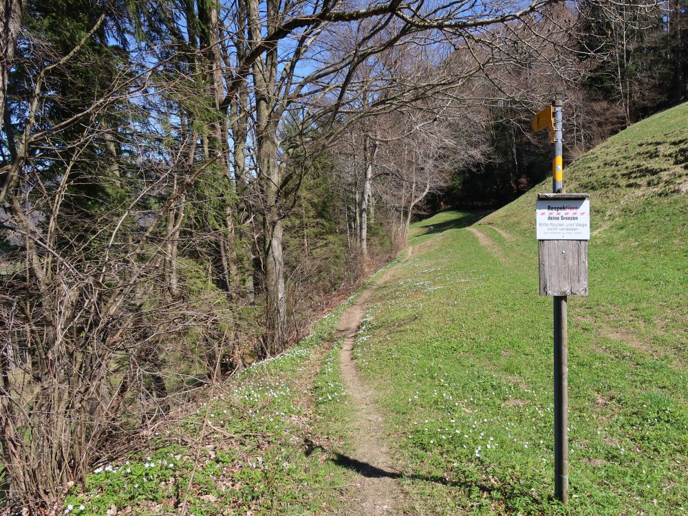 Pfad unterm Schlosschopf