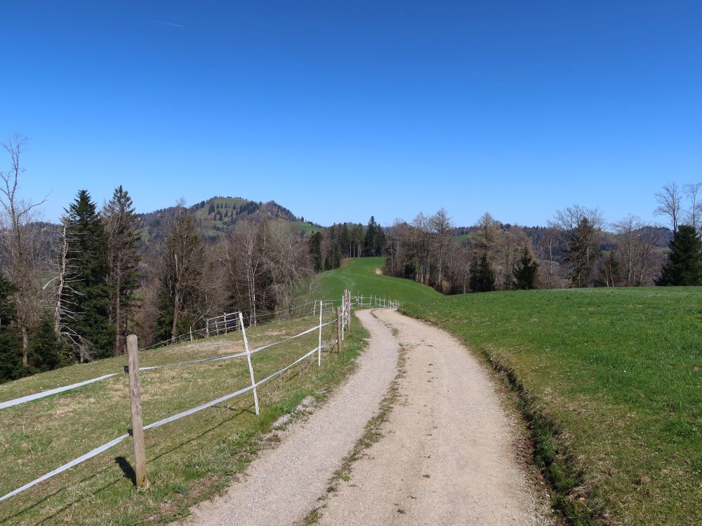 Schlossstrasse und Hörnli