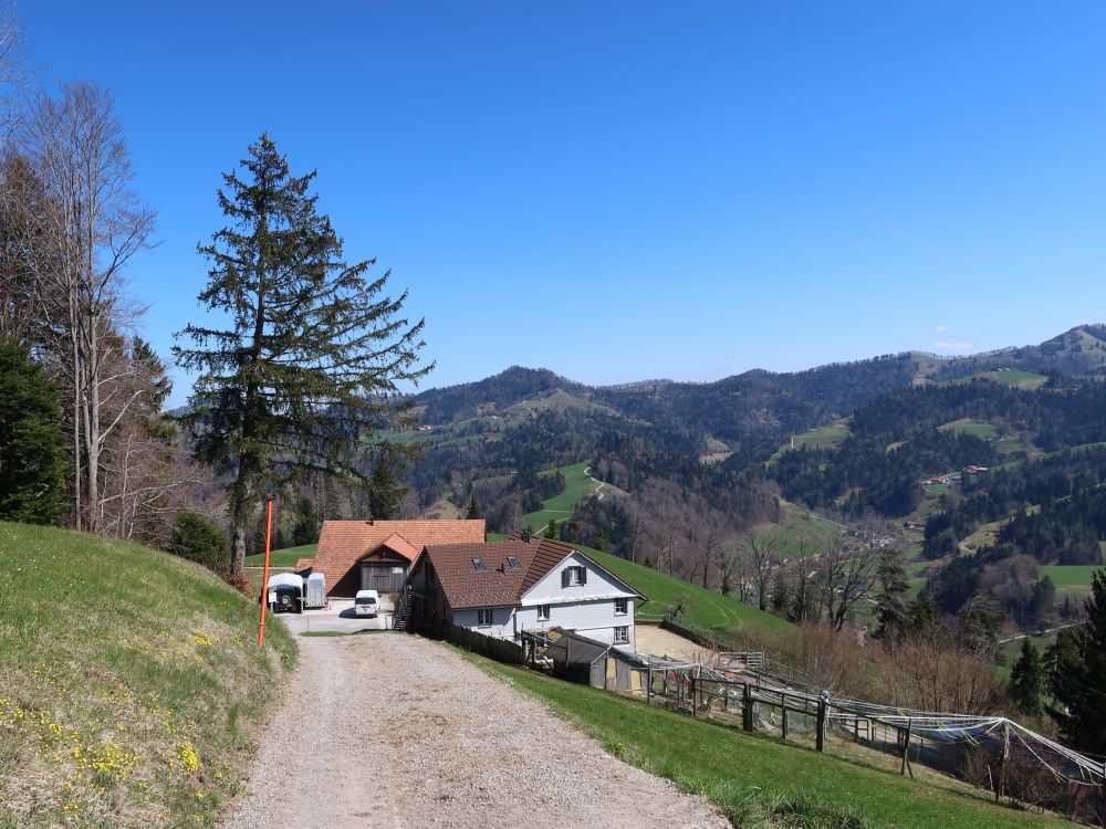 Schloss