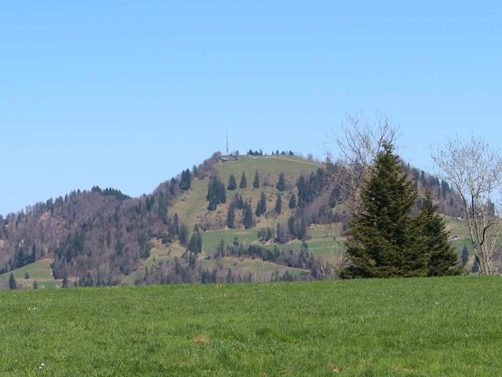 Hörnli