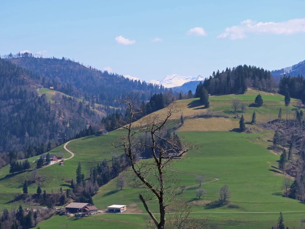 Schären und Nägelisberg am Horizont