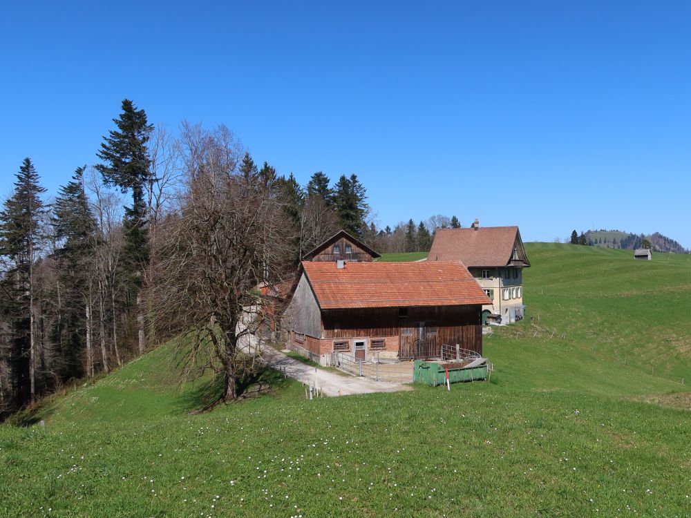 Bauernhof Wil